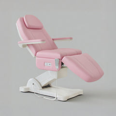 Multi-Functional Electric Beauty Bed E019-2